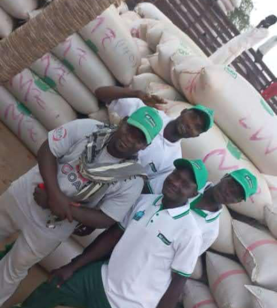 MZ Diamond Grains